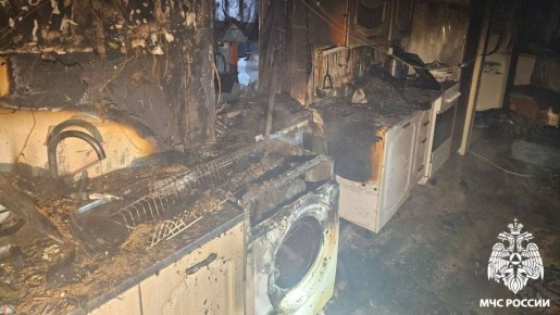 Собаку из огня спасли пожарные в Белове