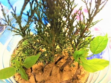 ������������ �������� �����: ��� �������� ������ ���� � ������