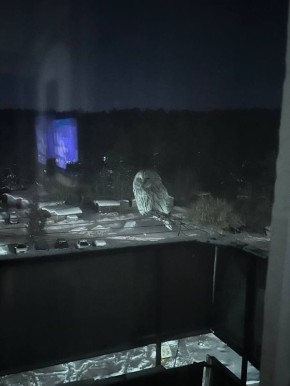 ���� ������!�. ��������� ������ ������ ��� ��������� ���������������� �����������