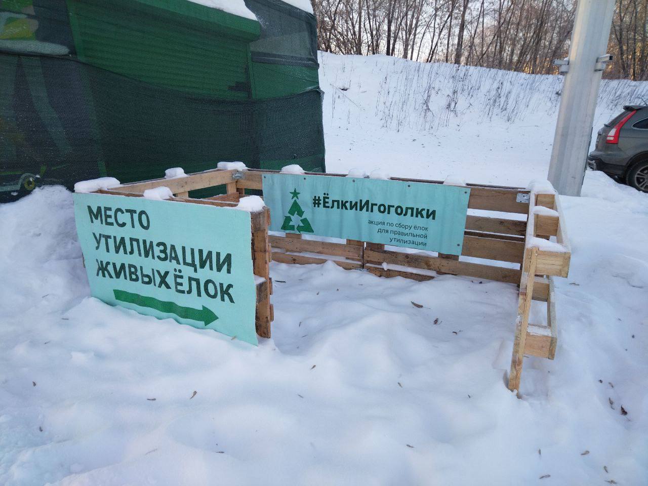 Дорогие друзья!. Стартовала ежегодная экологическая акция по сбору и передаче праздничных елей на корм животным #ЁлкиИгоголки