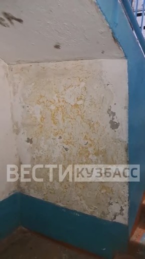 ���� ���� �����-�� ����� ������ ���� ���