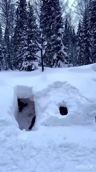 Доброе утро! Сегодня - День того, чего никогда не будет в Кузбассе