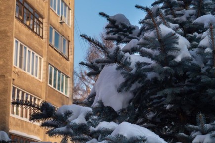 � �������� �� ����� ������ ����� �������� �������� ����� �������