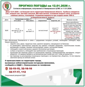Днем 12 января в Кузбассе ожидается сильный мокрый снег
