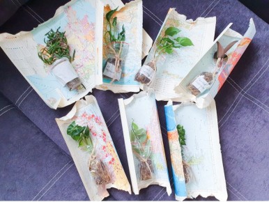 ����� ������� ������: ������� ��� �� ��������� ��������� ����������