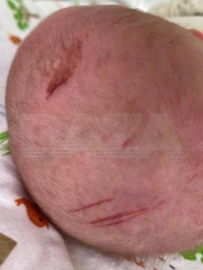 ������ �1 ������������ ��� �������� � ������ ��������� � ������ �� ����� �������� ���� �� ����� �����