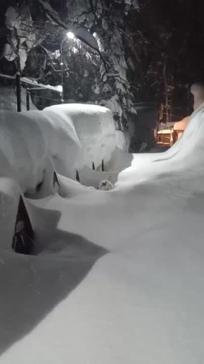 �������� ����� ��-��� �����