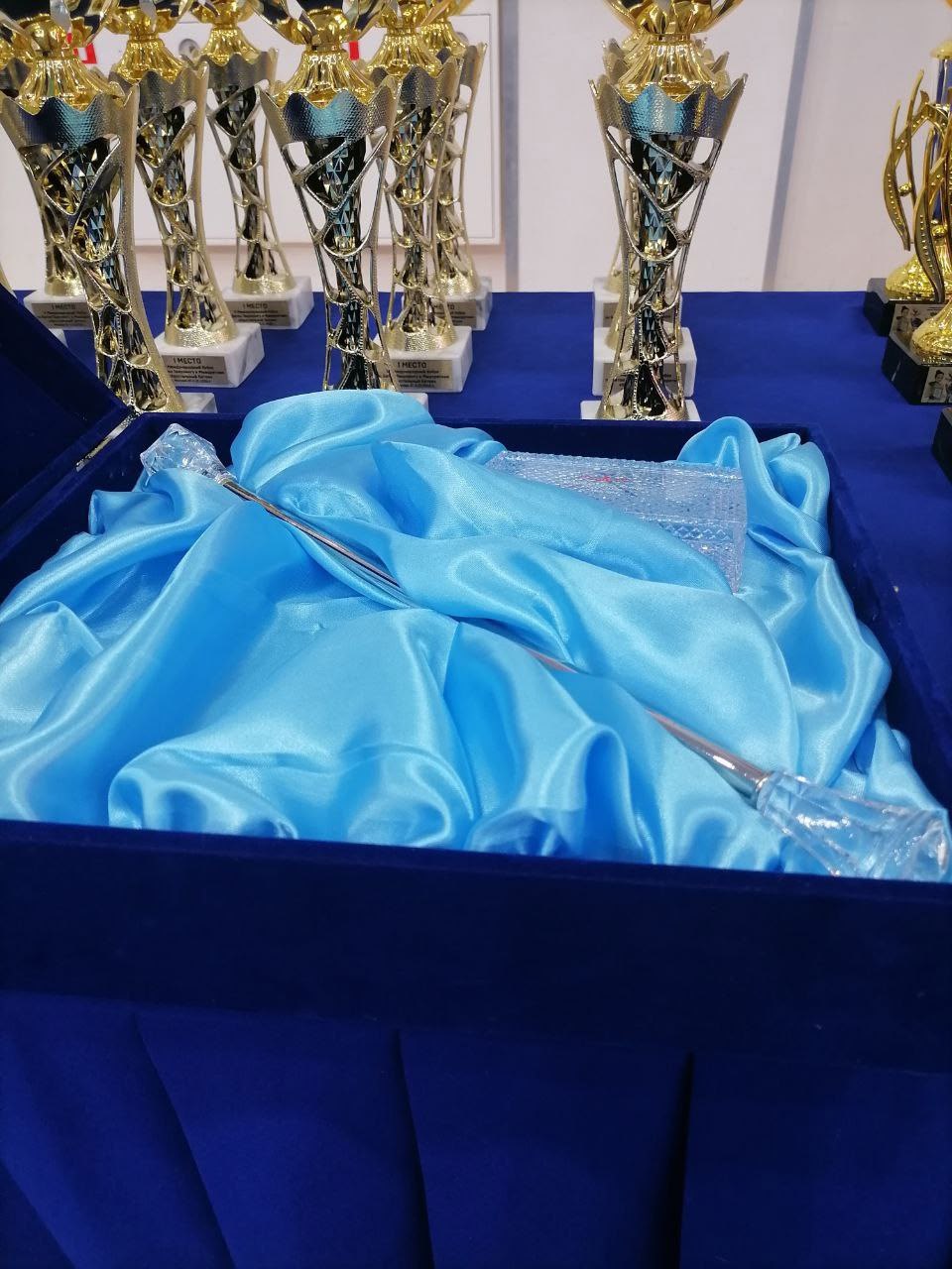 Юные танцоры из Кемерова заняли призовые места в Международном Кубке Юные танцоры из Кемерова заняли призовые места в Международном Кубке