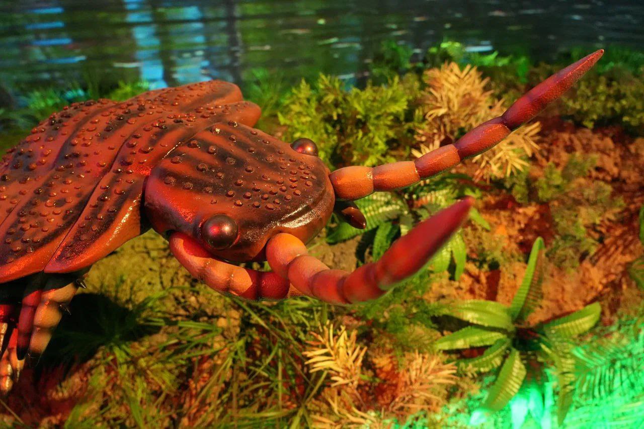 Путешествие во времени организовал кемеровский музей-заповедник «Красная Горка» Путешествие во времени организовал кемеровский музей-заповедник «Красная Горка»