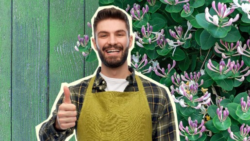 �������� ����� ������ �� ����� �������� �����: ���� �������� ������� ����������