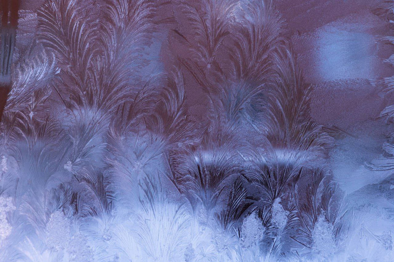 Волшебство на окне: хрустальные кружева подарят кемеровчанам морозы Волшебство на окне: хрустальные кружева подарят кемеровчанам морозы