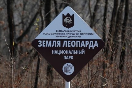 ������������� �������: ����� ������������ �������� ���������� ������������