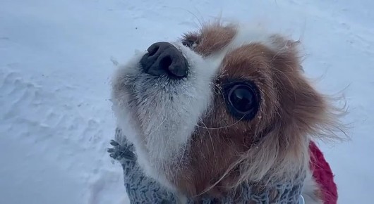 ����� ������� ��������� ��� ������