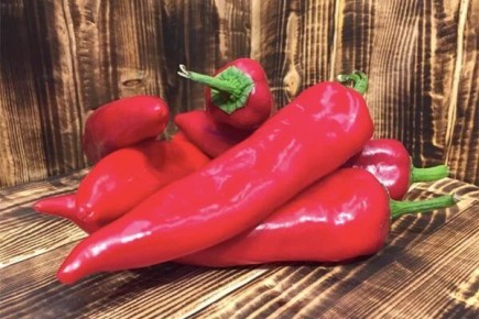 ����� ������: ��������� ����� ��� �����������