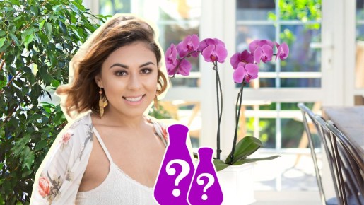 ������� �������� ����� ����� ����������: ��� ��������� ������ ���������