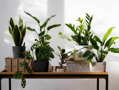 �������������� �����: ������� ���� � �������� ����� ��������