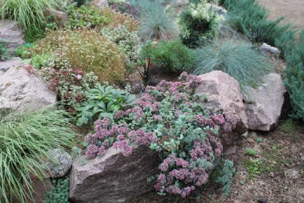 ������ ������: ���������� ������ ���� � ����� ����� ����