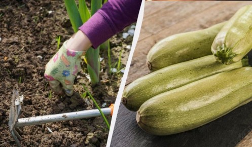 ���������� �������: ��� ��������� �� ������ ����� ������� ��� ������