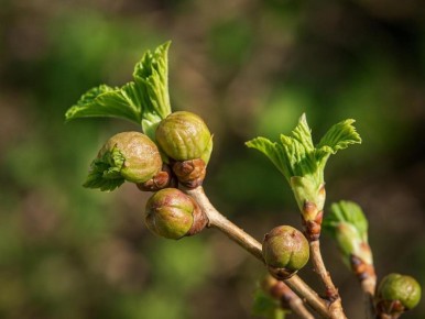 �������� ����: ��� ������ ��������� �� ���� �������� �������