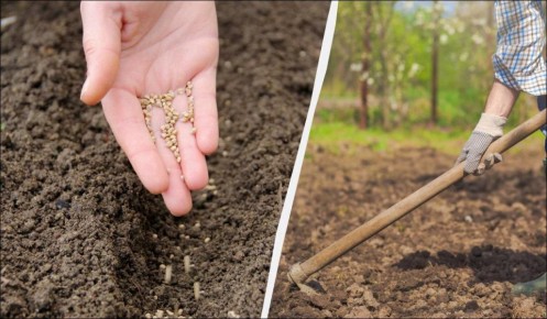 ������ �������: ��� ����� �������� ��� ���� �� ����� �������