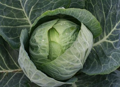 ��� ��������� ������� �� ������� � ������: ����������� ������