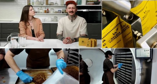 ����������� ����������� ����: ����� ��� � ���� ��������