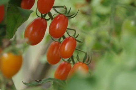 ����� �� ���: ��� �������� � ����� ���� ��������� ������ �����������