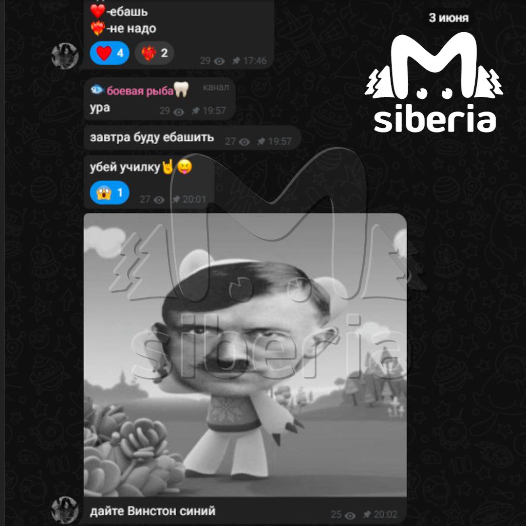 Кузбасская девятиклассница вела паблик о расстрелах в школах Кузбасская девятиклассница вела паблик о расстрелах в школах