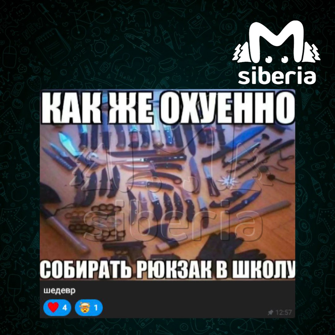 Кузбасская девятиклассница вела паблик о расстрелах в школах Кузбасская девятиклассница вела паблик о расстрелах в школах