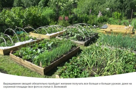 ��� ��������� ������� ������ �� ��������� �������: �������� ������