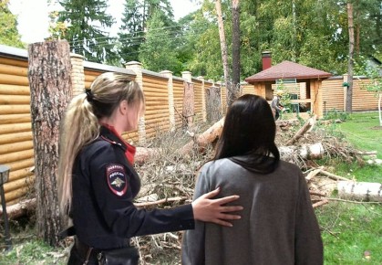 Условный срок за вырубку деревьев: справедливость или жестокость?