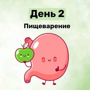 День 2: Пищеварение в фокусе