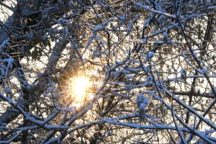 ���������� ��������� ��������� �������� ������� ������