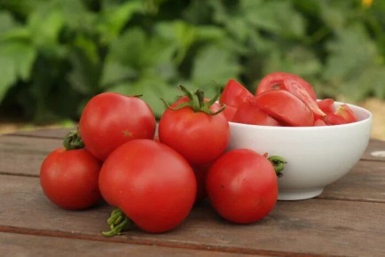 ����� ������: ����������� � �������� � ����� ��� ������ �������