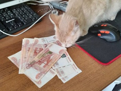 Где разумно держать сбережения в условиях снижающихся депозитов