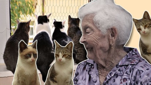 Неожиданный фактор покупки: как запах из соседской квартиры повлиял на возврат средств