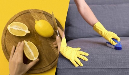 ���������� ����� �� ������ �������� �� ���������: ������� ������� ����� ������� ������� �������