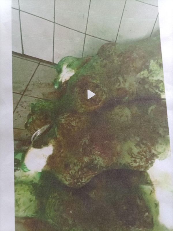 ������ ������: ��� ����� �������������� �������� ������� ��������� ���������� � ���