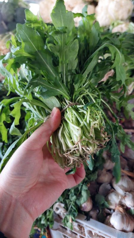 Разговоры под чинарой: от погоды до рукколы