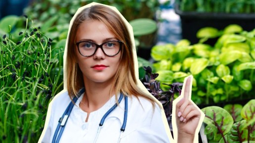 ��� ����� �������� ������ �������� �����: �������� �������� ����� � ������ �����