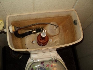 ������� �������: ��� ������ � ��������� �������� ����� ������� �� �������� � �����