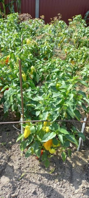 ������� ��������� �������: ����� ����� ������ � �������� ������ ��������� �������