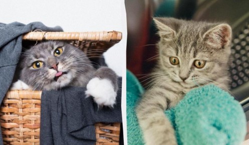 ������ ����� ��� ����� ������ �����: ���������� ���������