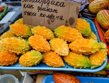 Тропический рай: какие фрукты начинают плодоносить в Абхазии