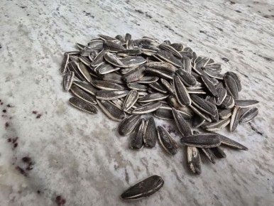 Соленые закуски: какие варианты выбрать для идеального стола