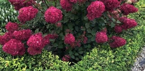 ���������: �������� ������ ������ ����