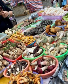 ���� �������: ��� �� ������ � ��� ��� ����� �����