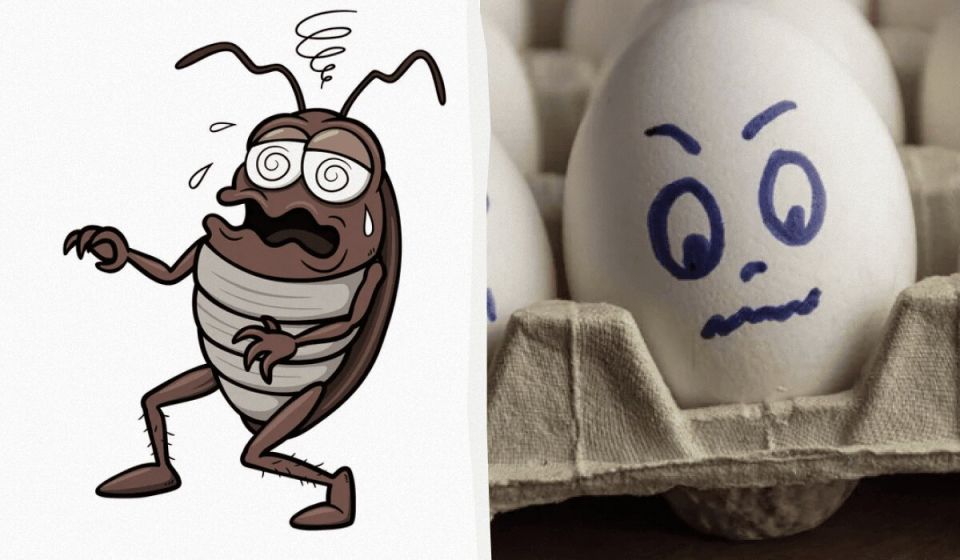 ��� ���������� �� ������ ���������: ����������� ������ � ������