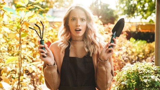 ������ �������� ���������: �� ������� ��� �������� � ���� �� � ���� ������