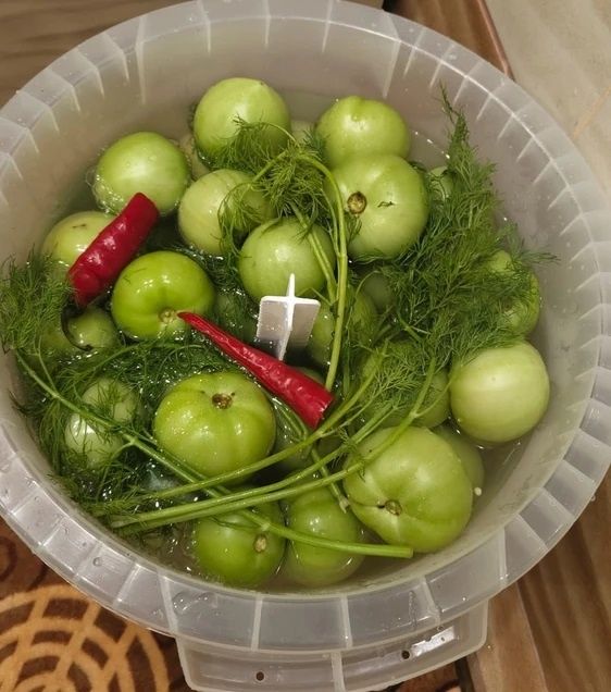 ������������ ����: ��� ������� ������� �������� �� ����